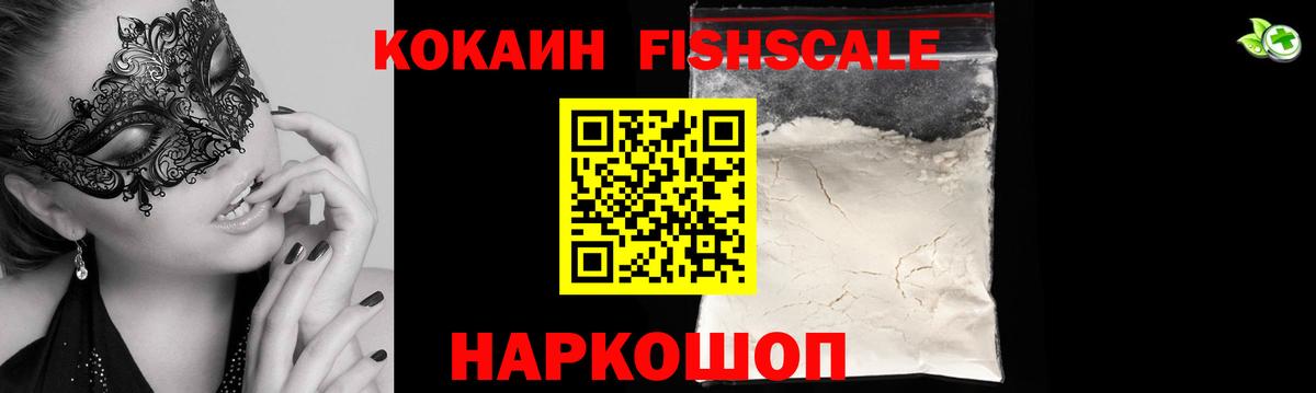 Cocaine Fish Scale  Кокаин  как найти закладки  Вход с VPN  Камышин 