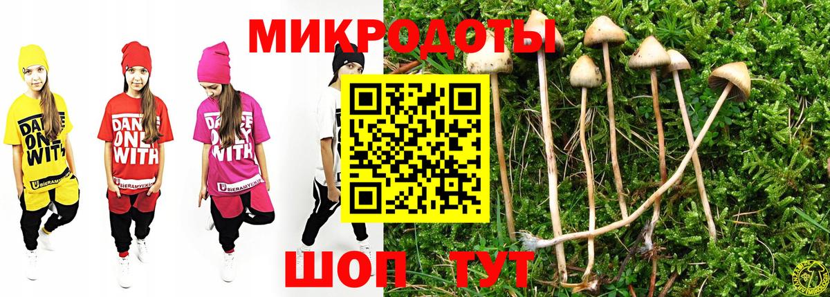 Галлюциногенные грибы прущие грибы  Псилоцибиновые грибы ЛСД  Камышин  Вход с VPN 
